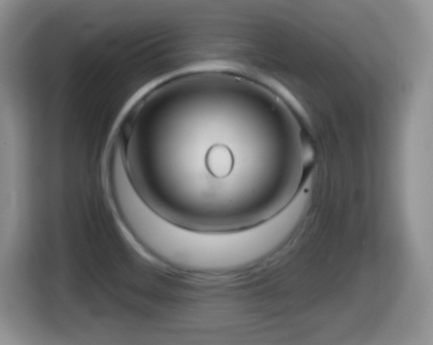 X0000116001468200911251050