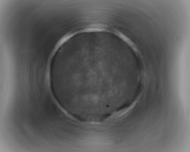 X0000116001469200911251050