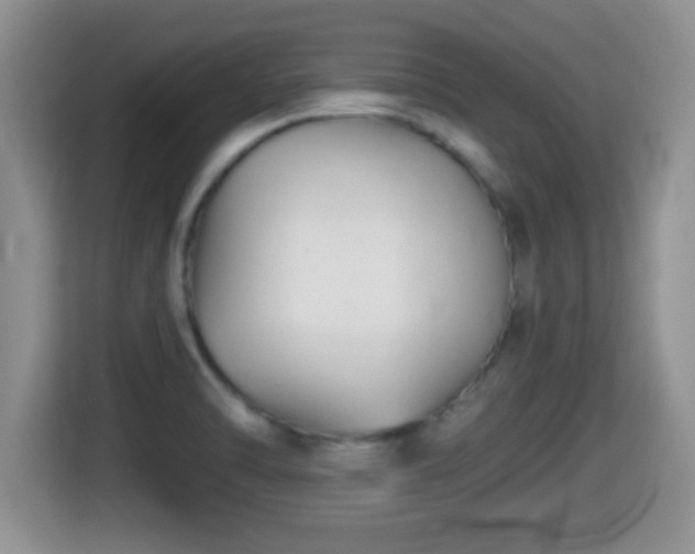 X0000116001470200911251050