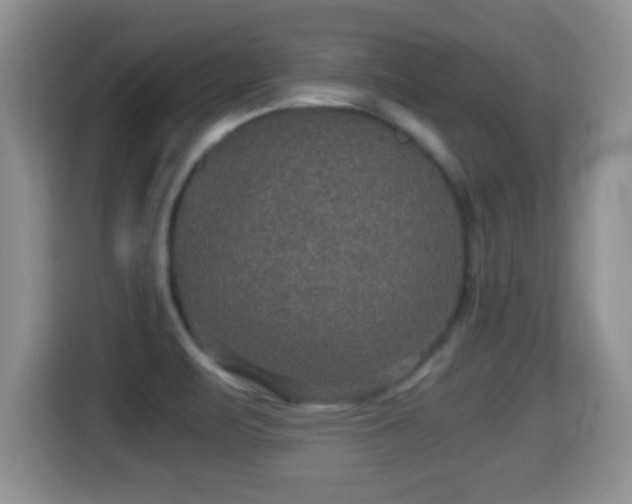 X0000116001471200911251050