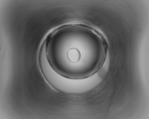 X0000116001472200911251050