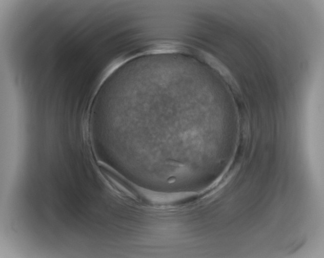 X0000116001473200911251050