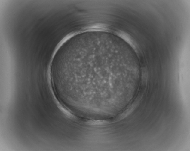 X0000116001474200911251050