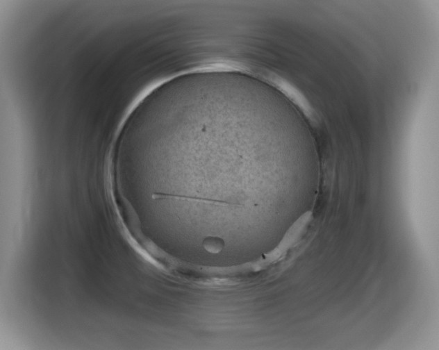 X0000116001476200911251050