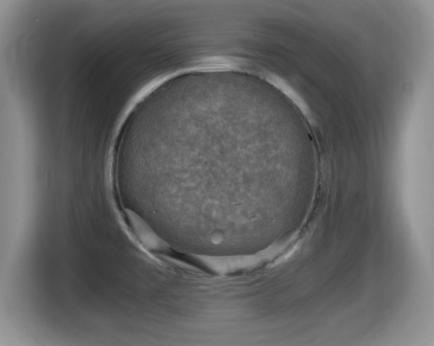 X0000116001477200911251050