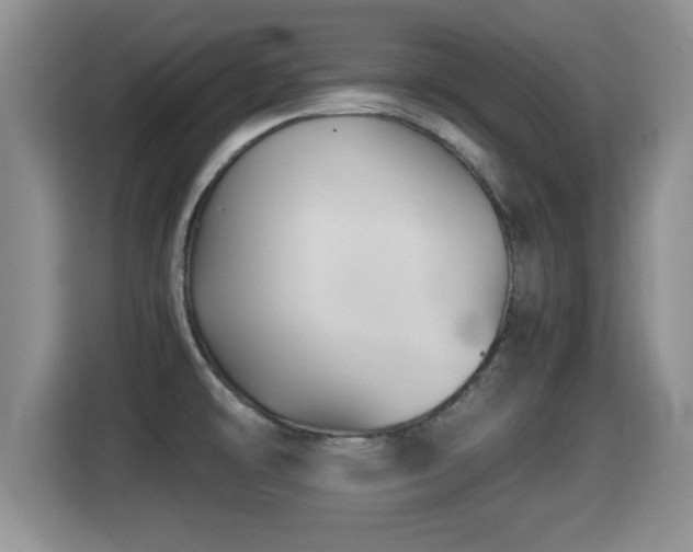 X0000116001478200911251050