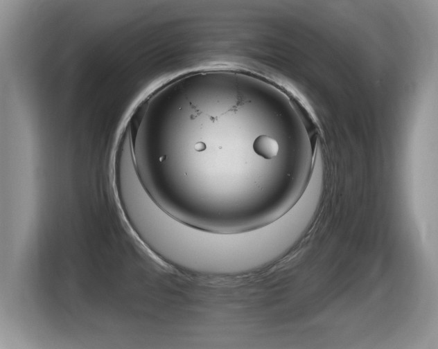 X0000116001480200911251050