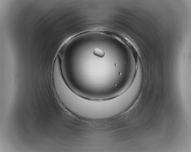 X0000116001481200911251050