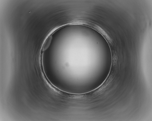 X0000116001484200911251050