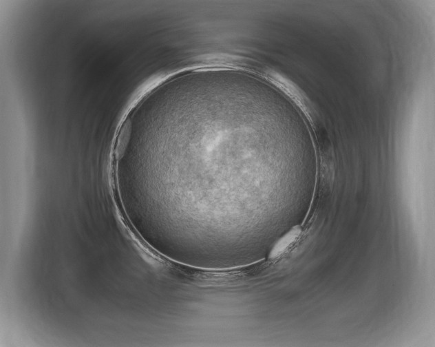 X0000116001485200911251050