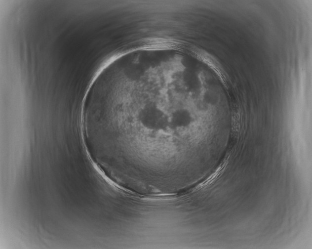 X0000116001487200911251050