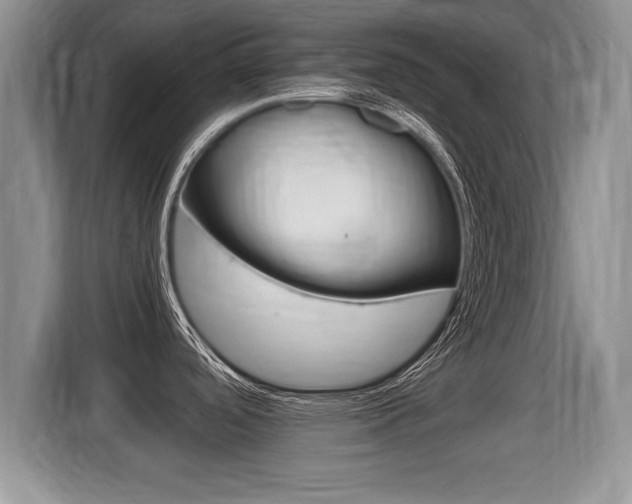 X0000116001488200911251050