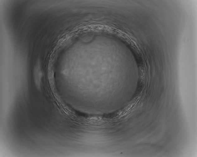 X0000116001489200911251049