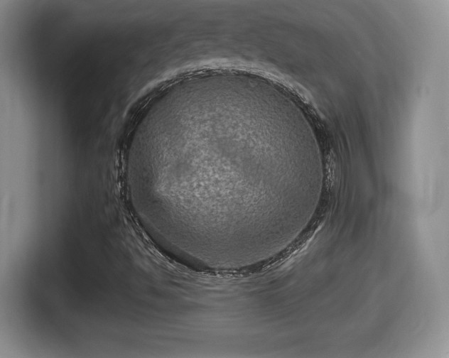 X0000116001494200911251049