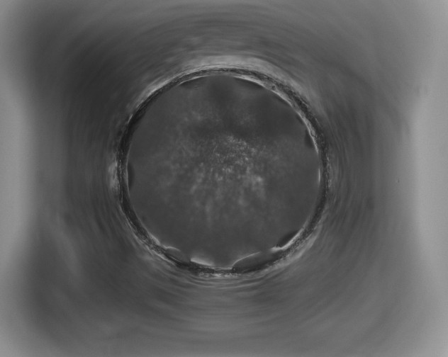 X0000116001497200911251049