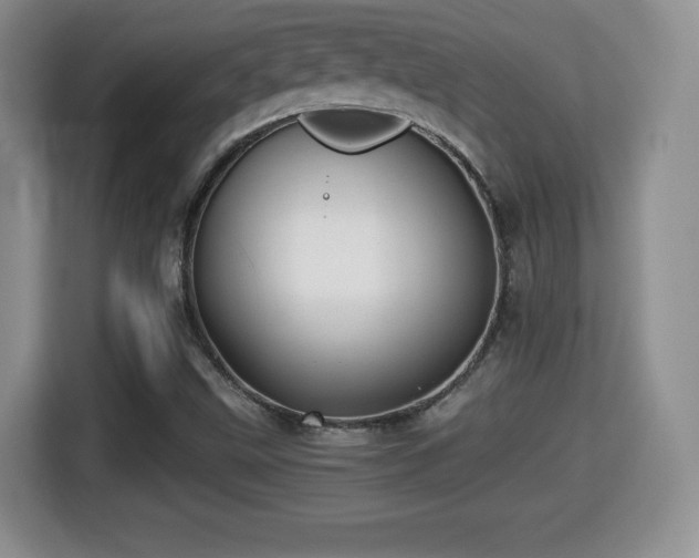 X0000116001499200911251049