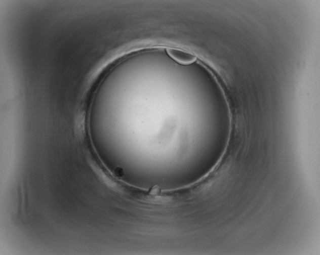 X0000116001503200911251049