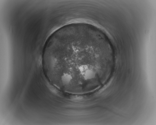 X0000116001505200911251049