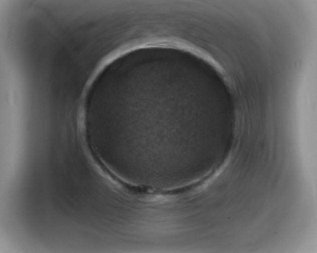 X0000116001506200911251049