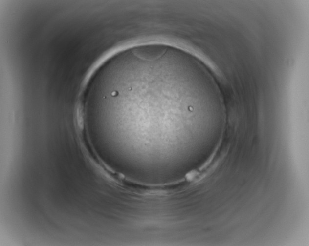 X0000116001510200911251050