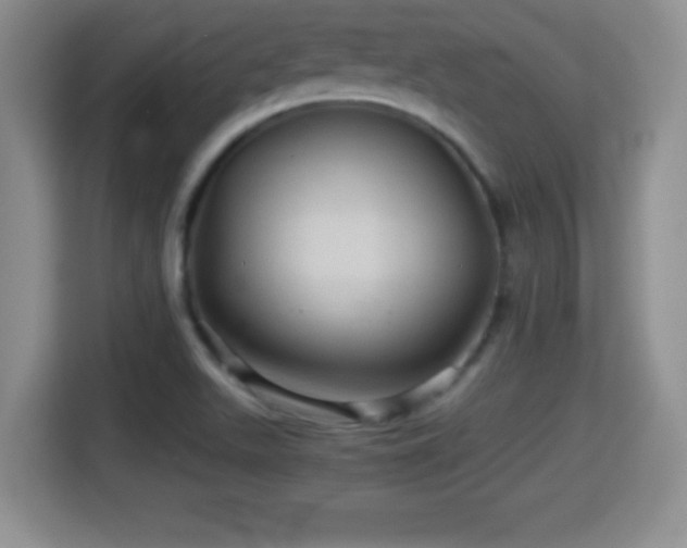 X0000116001511200911251050