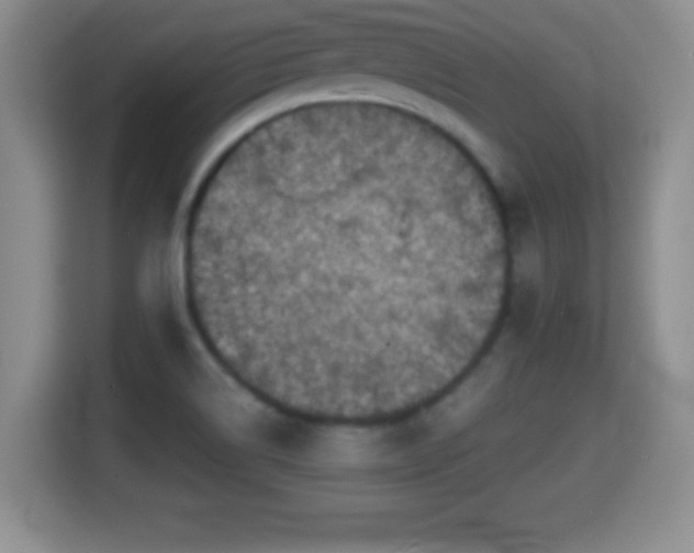 X0000116001514200911251050