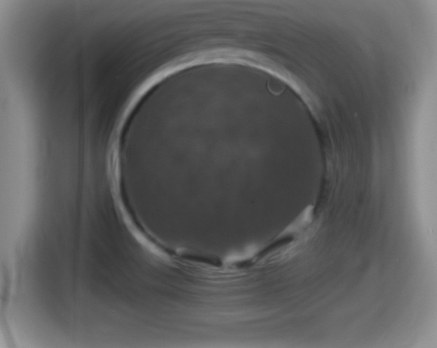 X0000116001515200911251050