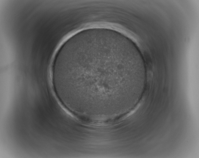 X0000116001517200911251050