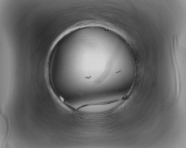 X0000116001518200911251050