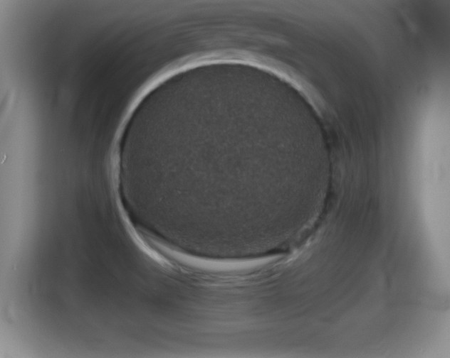 X0000116001519200911251050