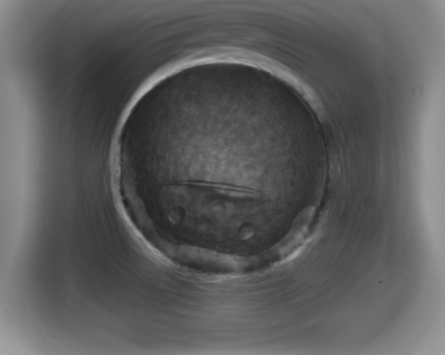 X0000116001522200911251050