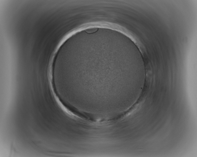 X0000116001523200911251050