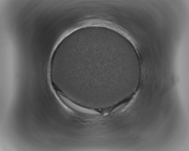 X0000116001525200911251050