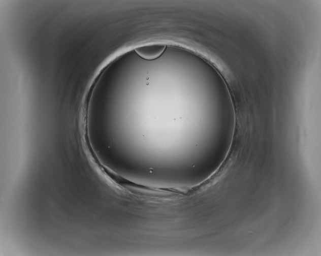 X0000116001526200911251050