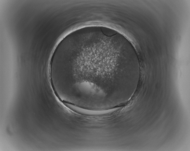 X0000116001527200911251050