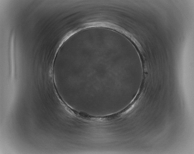 X0000116001529200911251050