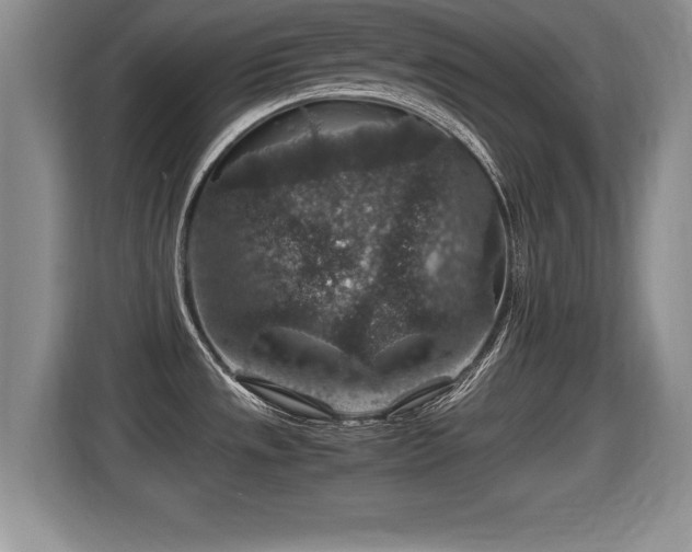 X0000116001533200911251050