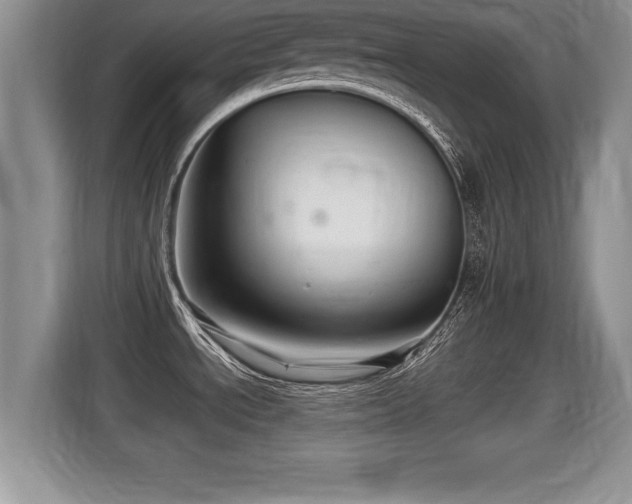 X0000116001534200911251050