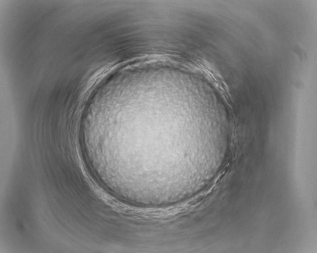 X0000116000001200912031519