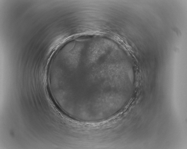 X0000116000002200912031519