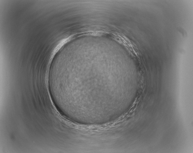 X0000116000003200912031519