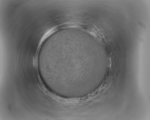 X0000116000004200912031519