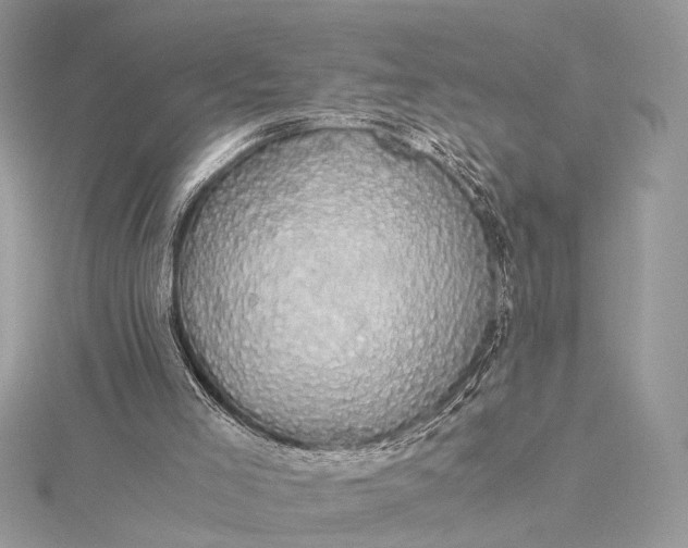 X0000116000005200912031519