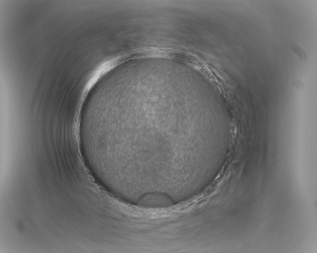 X0000116000006200912031519