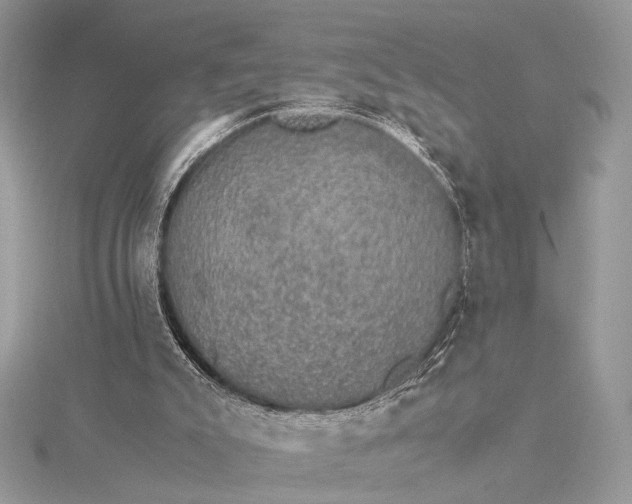 X0000116000007200912031518