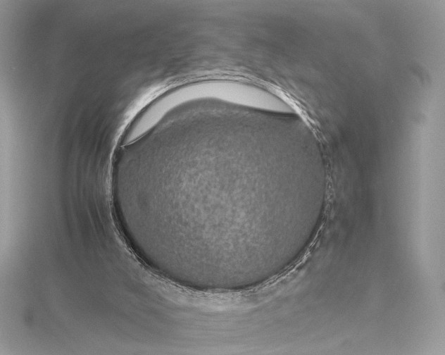 X0000116000008200912031518