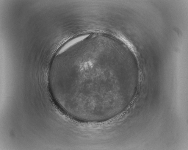 X0000116000009200912031518