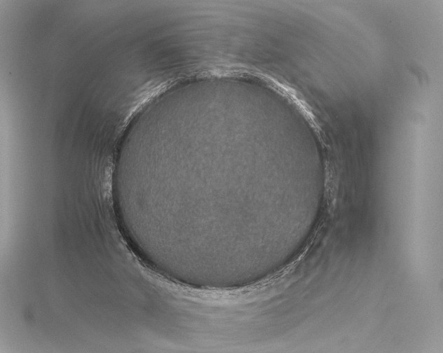 X0000116000010200912031518