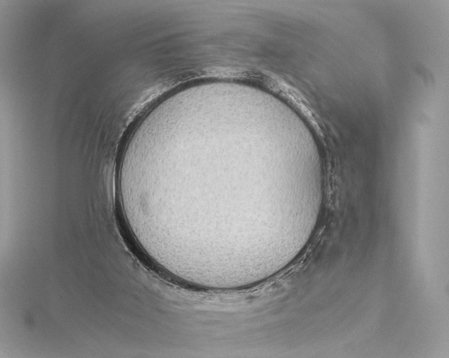 X0000116000011200912031518