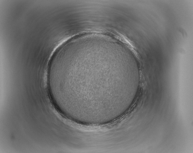 X0000116000012200912031518